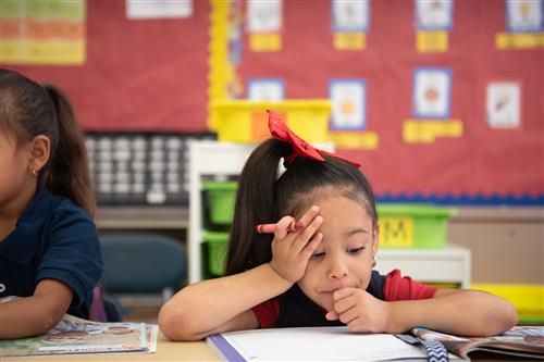 Student Studying in Classroom
